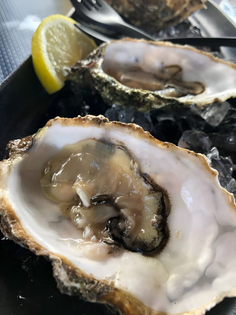 ostras-delta-del-ebro